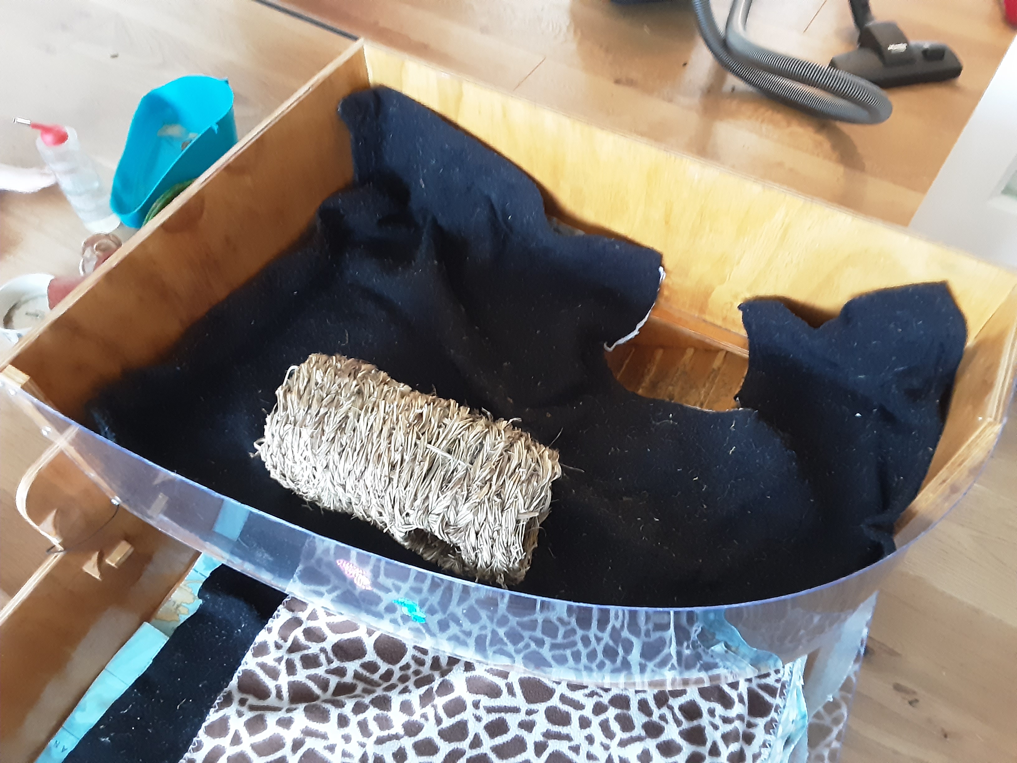 guinea_pig_house_v3_02.jpg guinea_pig_house_v3_02.jpg