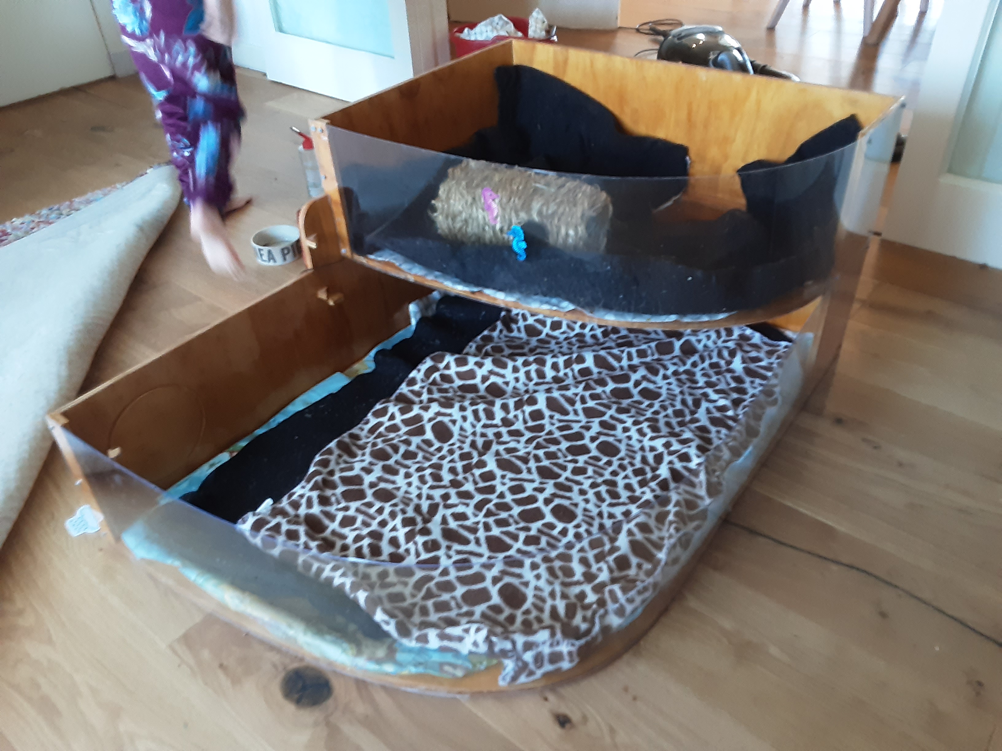 guinea_pig_house_v3_05.jpg guinea_pig_house_v3_05.jpg