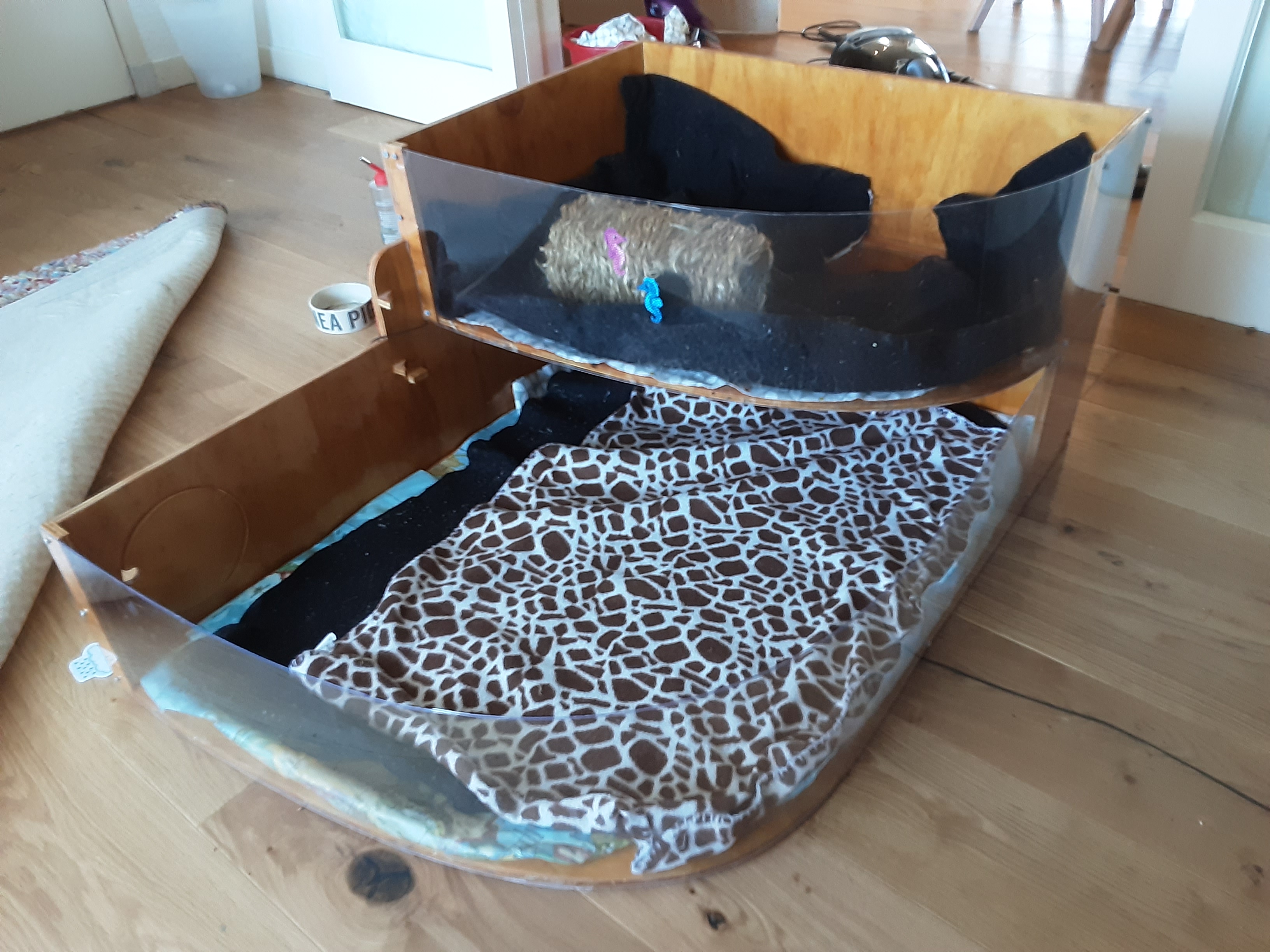 guinea_pig_house_v3_04.jpg guinea_pig_house_v3_04.jpg