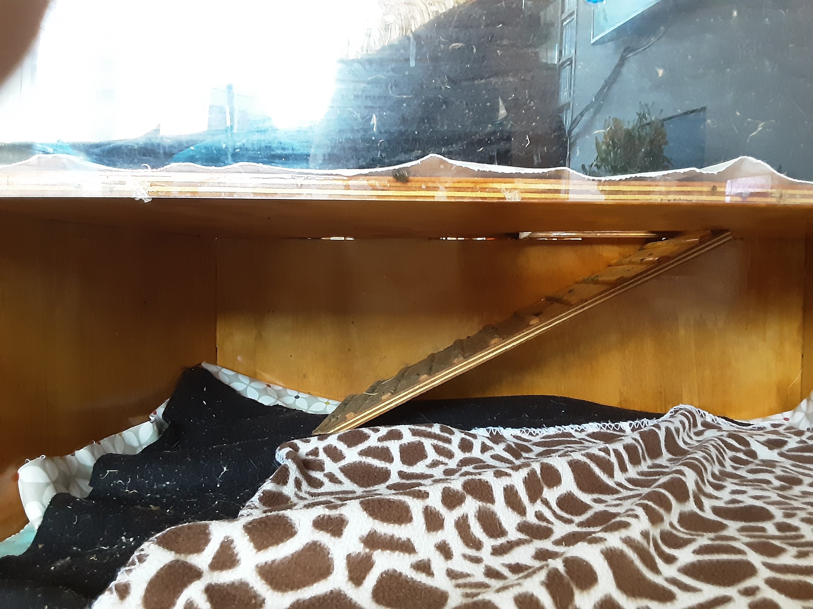 guinea_pig_house_v3_03.jpg guinea_pig_house_v3_03.jpg