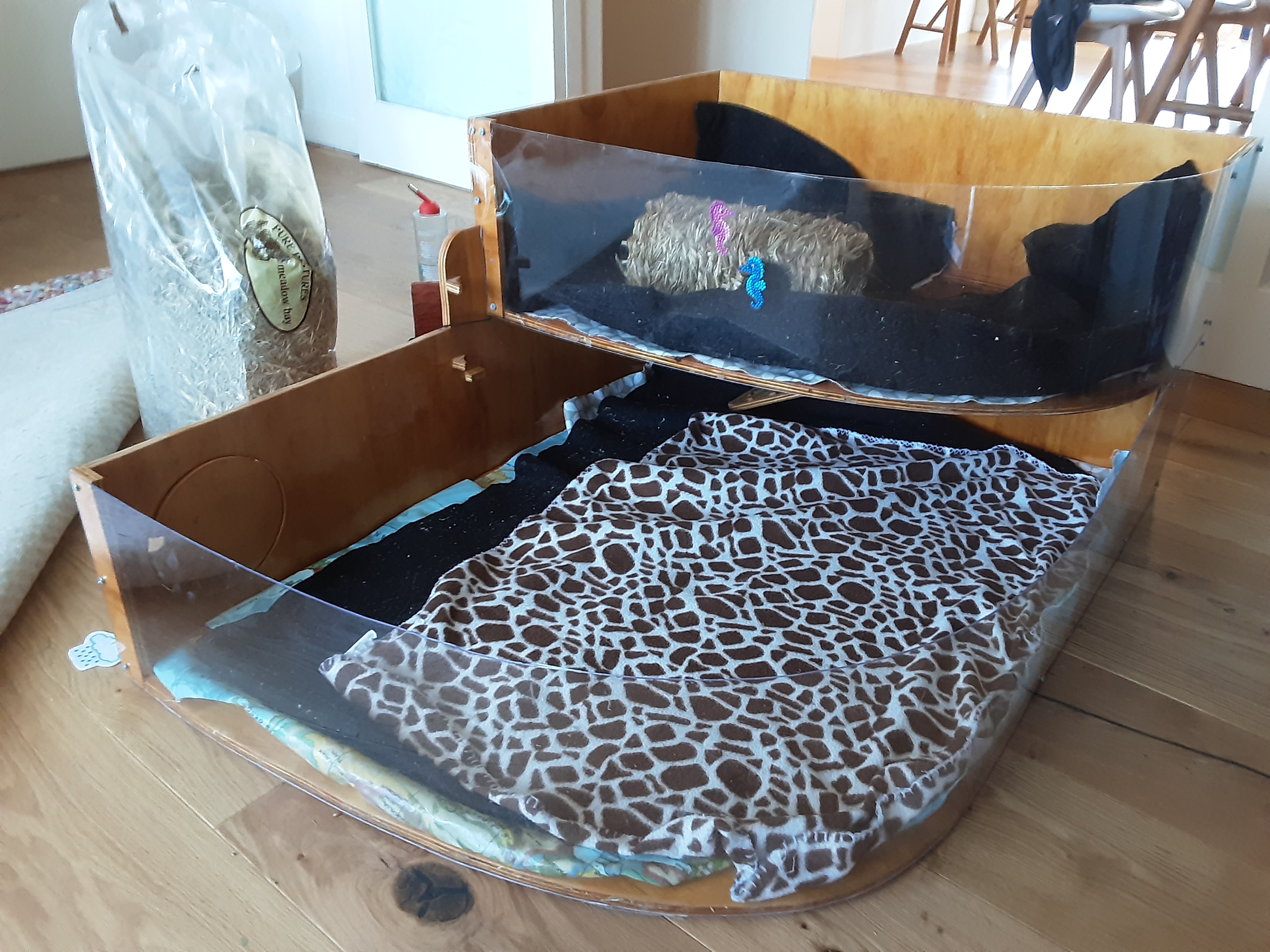 guinea_pig_house_v3_01.jpg guinea_pig_house_v3_01.jpg