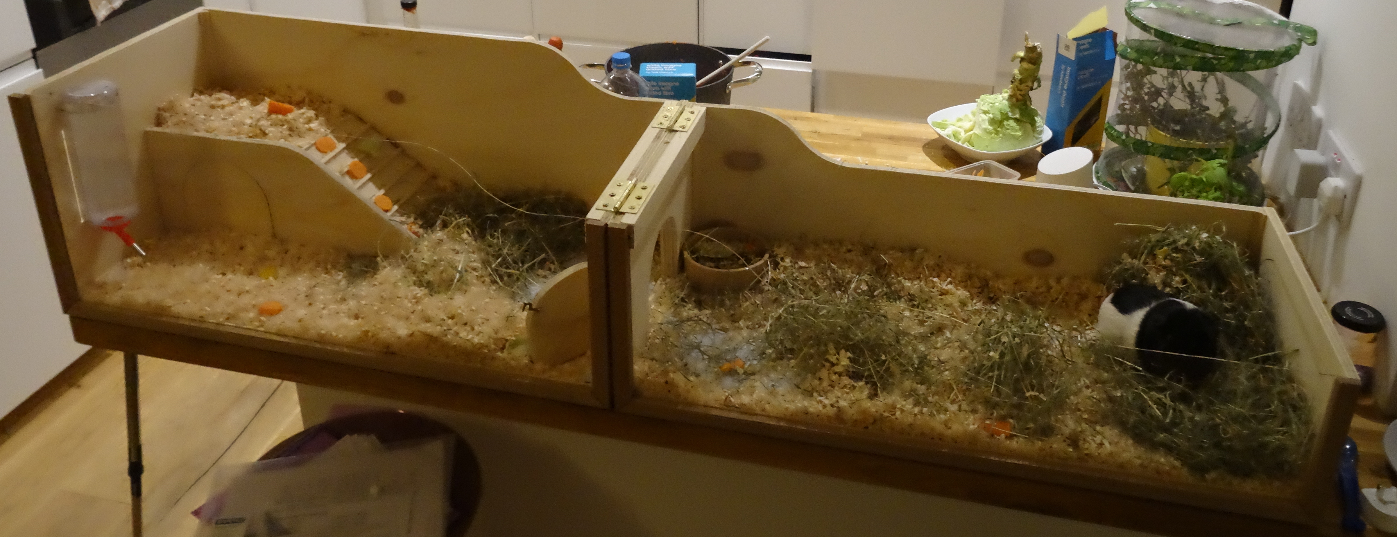 guinea_pig_house_v1_02.jpg