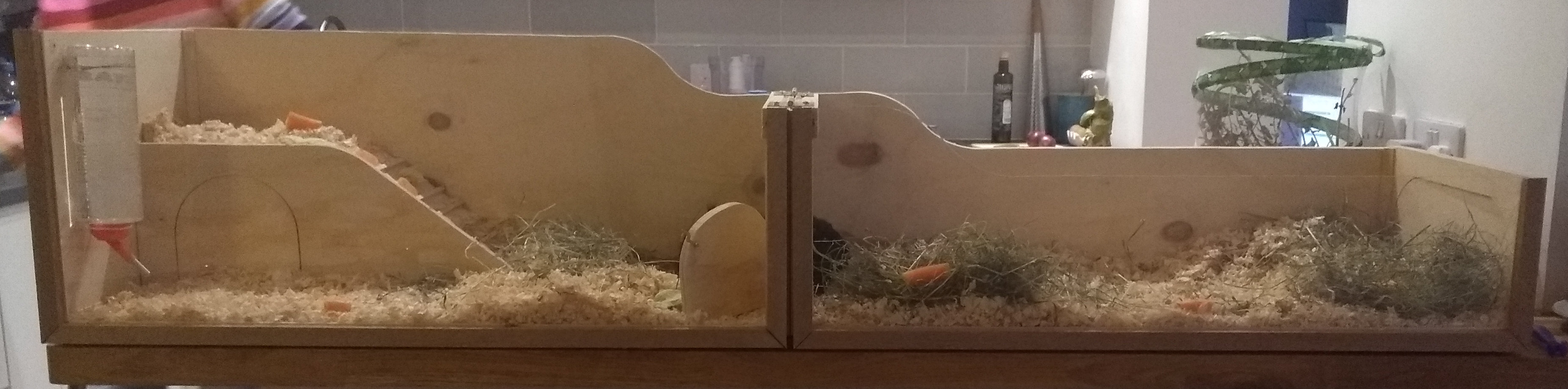 guinea_pig_house_v1_03.jpg